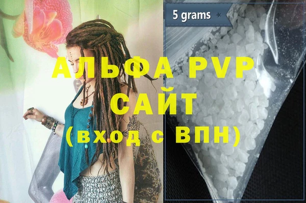 ECSTASY Алзамай
