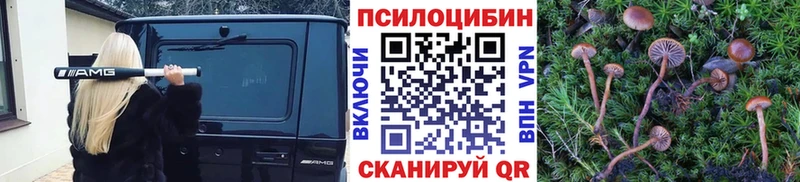 Псилоцибиновые грибы Psilocybine cubensis  где продают   блэк спрут зеркало  Челябинск 